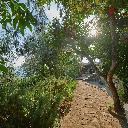 Agroturismo Borgo Mocale